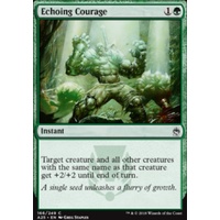Echoing Courage - A25