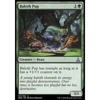 Baloth Pup - OGW