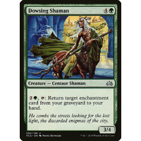 Dowsing Shaman - PCA