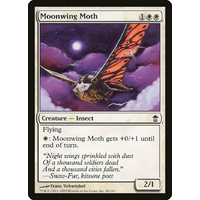 Moonwing Moth - SOK