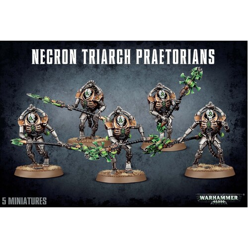 Necron Lychguard/Triarch Praetorians