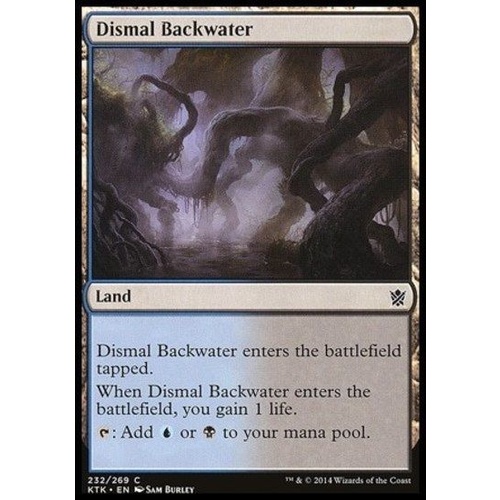 Dismal Backwater FOIL - KTK