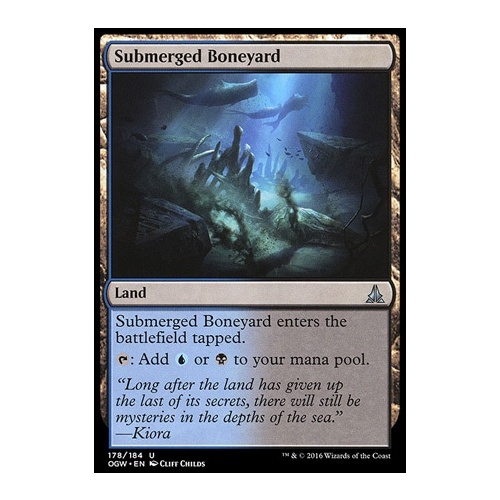 Submerged Boneyard - OGW
