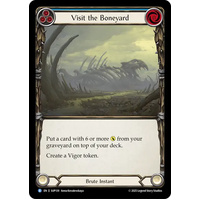 Visit the Boneyard (Regular) - SUP