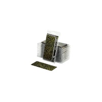 Gamers Grass - Laser Plants - Dumb Cane