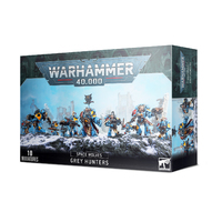 Warhammer 40k Space Wolves: Pack/Grey Hunters