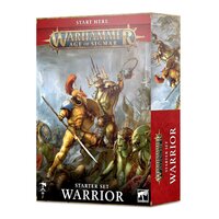 Age of Sigmar: Warrior Starter Set