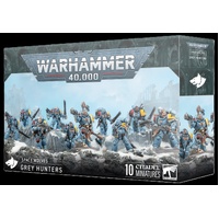 Space Wolves: Grey Hunters