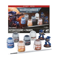 Space Marines: Intercessors + Paints
