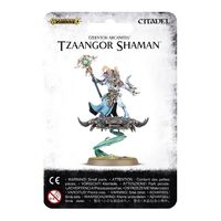 Tzeentch Arcanites Tzaangor Shaman