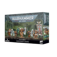 Blood Angels Sanguinary Guard