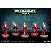 Craftworlds Wraithguard
