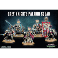 Grey Knights Paladin Squad