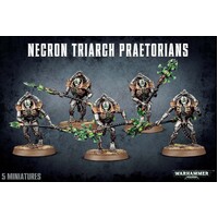 Necron Lychguard/Triarch Praetorians