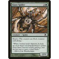 Giant Spider - 10E