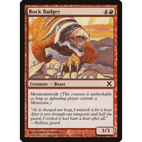 Rock Badger - 10E