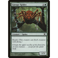 Canopy Spider - 10E