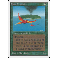 Birds of Paradise - 2ED