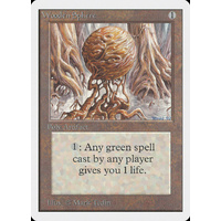 Wooden Sphere - 2ED