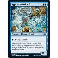 Apprentice Wizard - 2XM