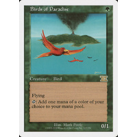 Birds of Paradise - 6ED