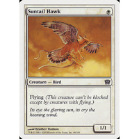 Suntail Hawk - 9ED