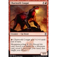 Chartooth Cougar - A25