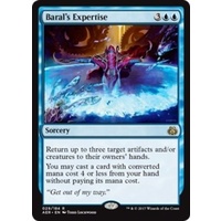Baral's Expertise - AER