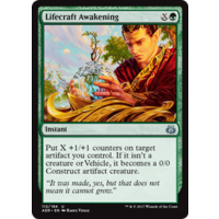 Lifecraft Awakening - AER