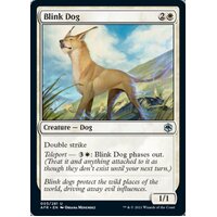 Blink Dog - AFR