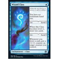 Wizard Class - AFR