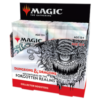 Adventures in the Forgotten Realms (AFR) Collector Booster Box