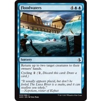 Floodwaters FOIL - AKH