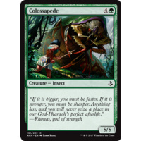 Colossapede - AKH