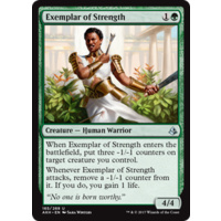 Exemplar of Strength - AKH