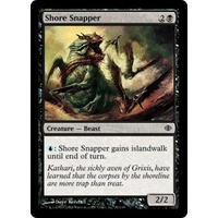 Shore Snapper - ALA