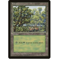 Forest (1996) - ARENA