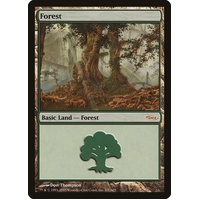 Forest (2005) - ARENA