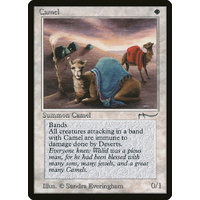 Camel - ARN