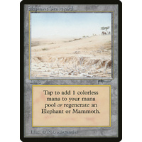 Elephant Graveyard - ARN