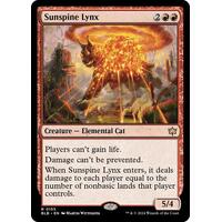 Sunspine Lynx - BLB