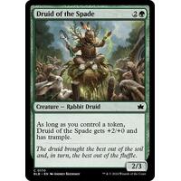 Druid of the Spade - BLB