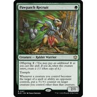 Pawpatch Recruit - BLB