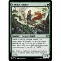 Curious Forager FOIL - BLB