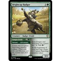 Brightcap Badger - BLC