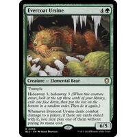 Evercoat Ursine - BLC