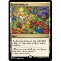 Exotic Orchard - BLC