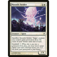 Moonlit Strider - BOK