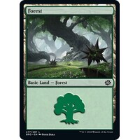 Forest (277) - BRO