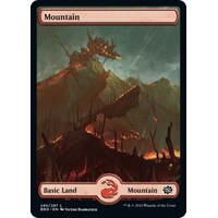 Mountain (285) - Full Art - BRO